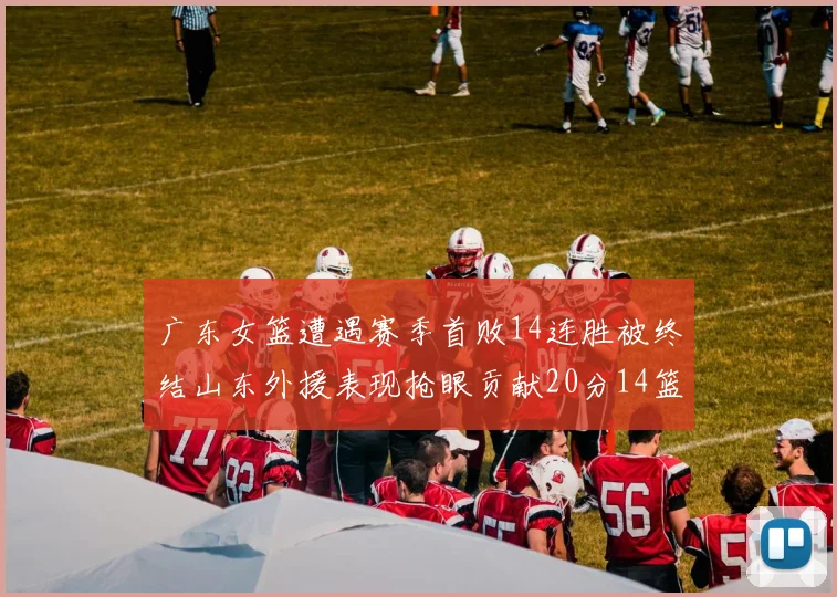 广东女篮遭遇赛季首败14连胜被终结山东外援表现抢眼贡献20分14篮板5助攻